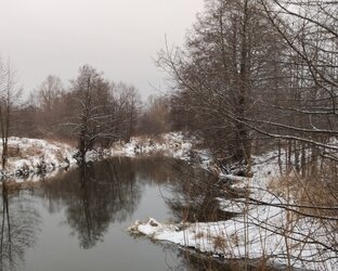 Зимний спиннинг