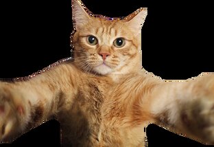 Мемные ролики Русский язык