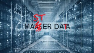 MDM - Master Data Management