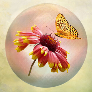 Флора и Фауна