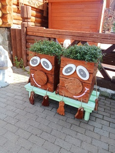 Короткие ролики