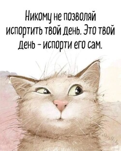 Песни на мои стихи, ролики