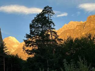 Дарю маршрут!