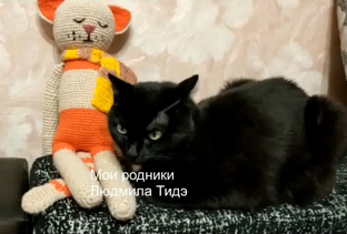 Игрушки амигуруми