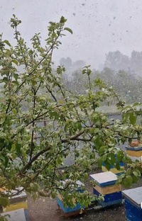 Природа и погода )))