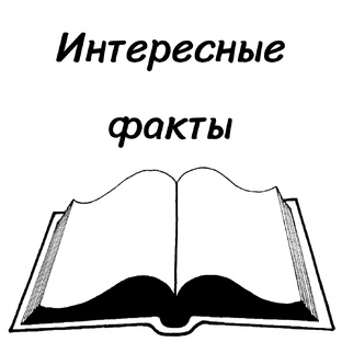 Интересные факты