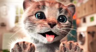 Коты и кошки 