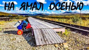 На Ямал Осенью. 2023.