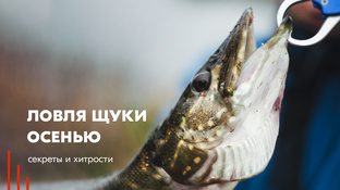 Статьи о рыбалке, рыбе и способах её ловли