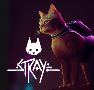 Stray / Бродячий