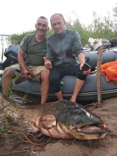 Квоки на сома