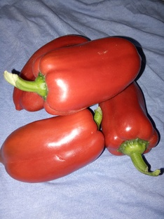 Кулинария 