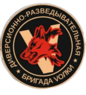 Диверсионно Разведывательная Бригада VОЛКИ