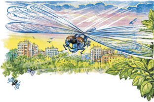 Произведения с биологическим уклоном