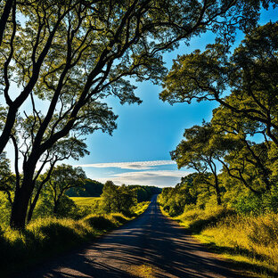 Откройте для себя мир