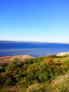 Лиманы Благовещенской