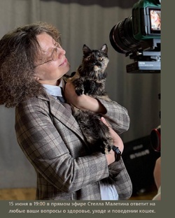 Встречи с зоопсихологом