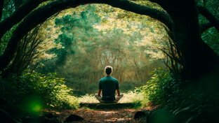 Природа и человек