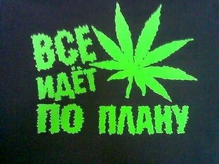 Предсказания мудрой ведьмы!