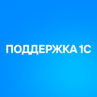 Поддержка 1С