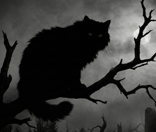 Мур.Ашки (мистические рассказы)