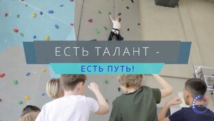 Кружки и секции