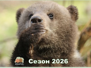Сезон 2026