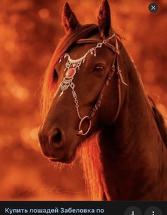 Поляшоп🏇🏻🐎