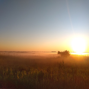 Видео. Медитации: "Открытие потока любви"