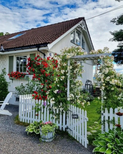 Дачный сезон