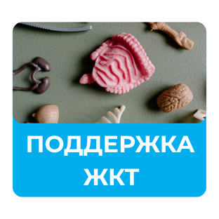 Здоровье ЖКТ