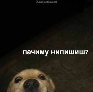 Посты о своем