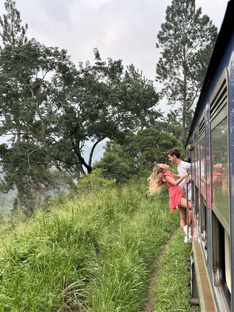Шри-Ланка 🇱🇰 
