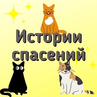 О взаимопомощи животных и людей