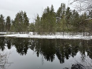 Ленинградская область 