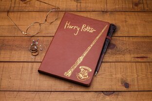 Заметки Гарри Поттера