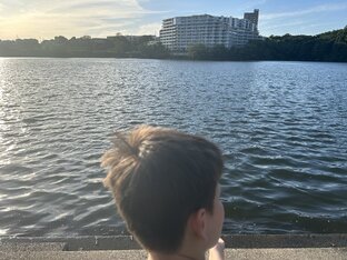 Сын и японская школа