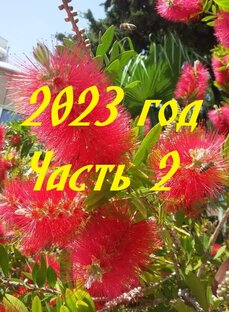 2023 год \\\ Часть 2