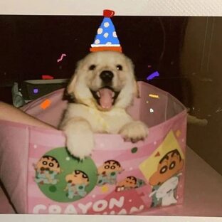 Тематическое планирование учебного курса "Проектная деятельность"