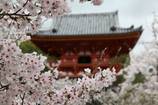 Путешествия 