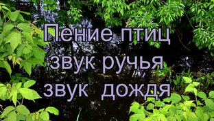 Звуки ручья, дождя, пение птиц