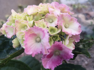 В мире непознанного