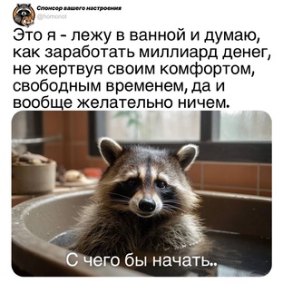 мудрая мысль