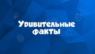 Подборка интересных фактов