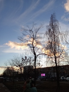 Что делать дальше? Сборник