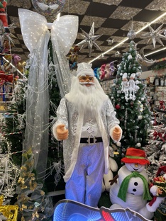 Новый 2026 год