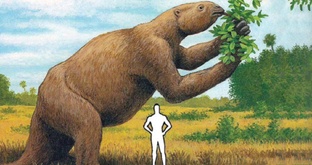 Палеонтологический парадокс