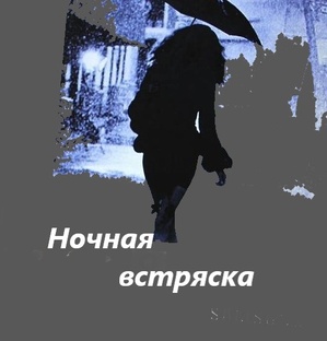 Книга "Ночная встряска"