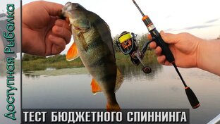 Спиннинги и удочки с АлиЭкспресс