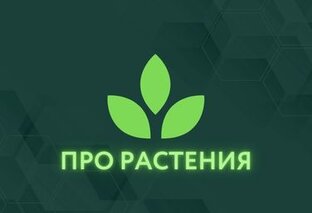 Про растения